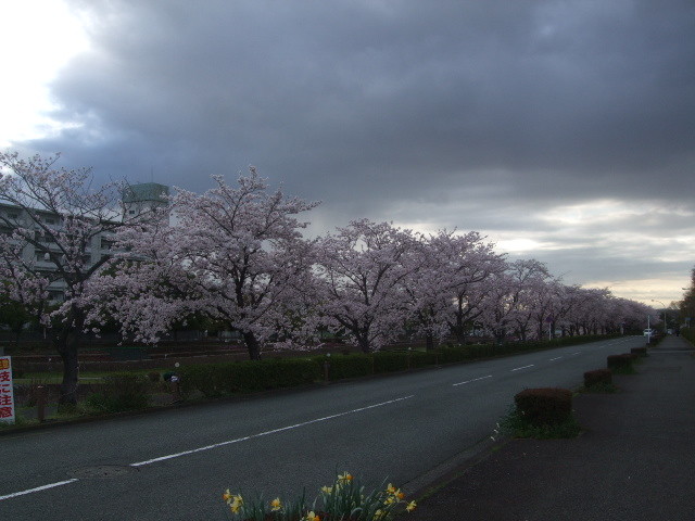 f:id:dohgen:20140405064608j:image:w360