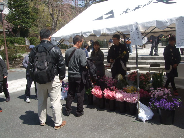 f:id:dohgen:20140408100321j:image:w360