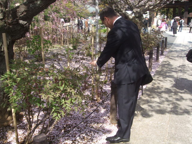 f:id:dohgen:20140408132748j:image:w360