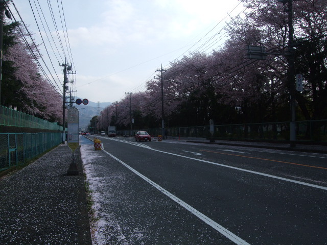 f:id:dohgen:20140409074416j:image:w360