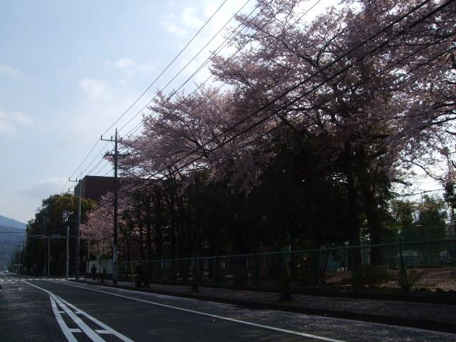 f:id:dohgen:20140409074703j:image:w360