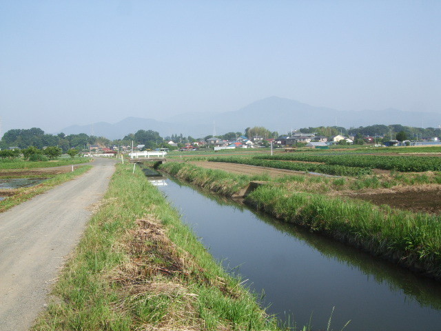 f:id:dohgen:20140531065346j:image:w360
