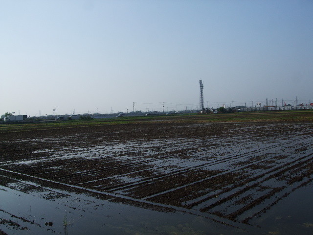 f:id:dohgen:20140531065406j:image:w360
