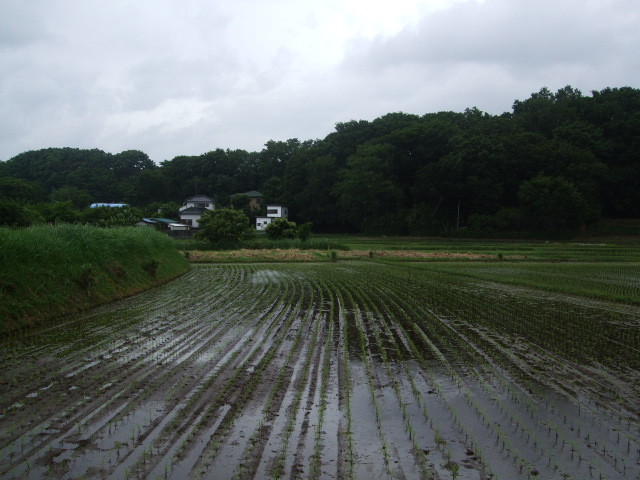 f:id:dohgen:20140605115300j:image:w360