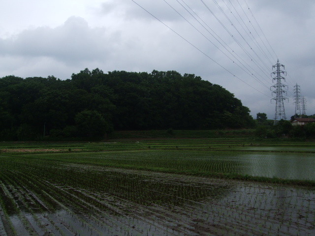 f:id:dohgen:20140605115317j:image:w360
