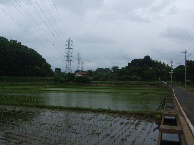 f:id:dohgen:20140605115322j:image:w360