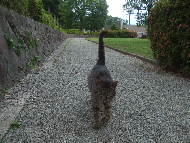 f:id:dohgen:20140609145307j:image:w360 f:id:dohgen:20140609145307j:image:w360