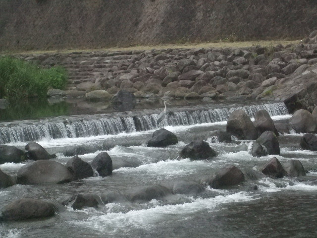f:id:dohgen:20140718051230j:image:w360