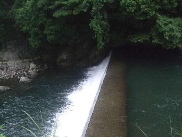 f:id:dohgen:20140718052446j:image:w360