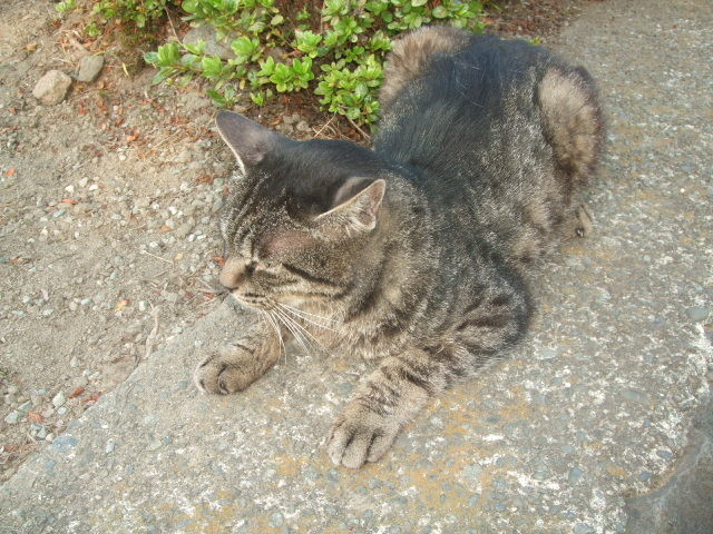 f:id:dohgen:20140728164312j:image:w360 f:id:dohgen:20140728164312j:image:w360