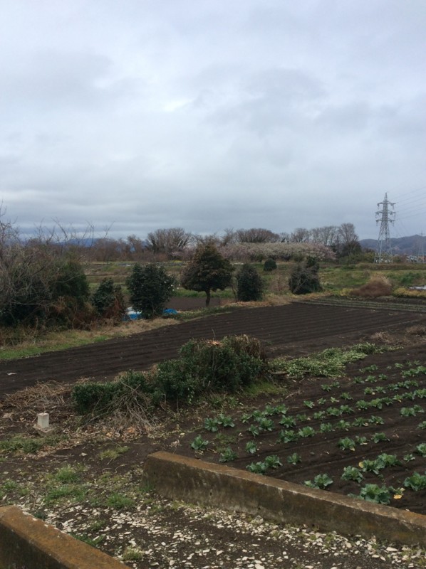 f:id:dohgen:20150308114156j:image f:id:dohgen:20150308114156j:image