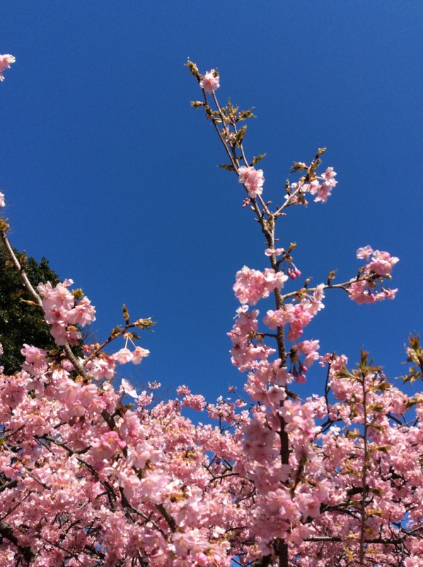 f:id:dohgen:20150316161238j:image f:id:dohgen:20150316161238j:image