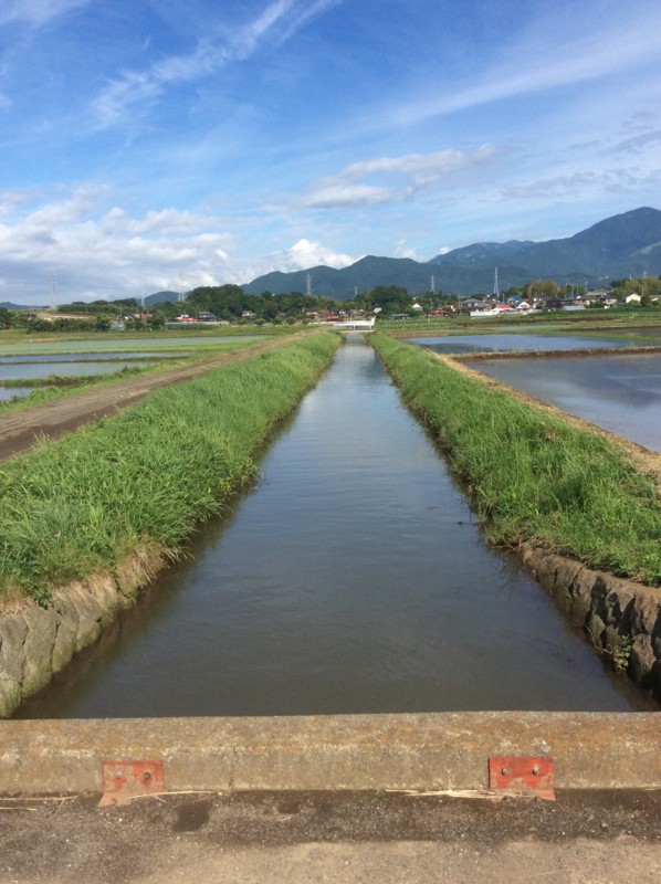 f:id:dohgen:20150610114104j:image