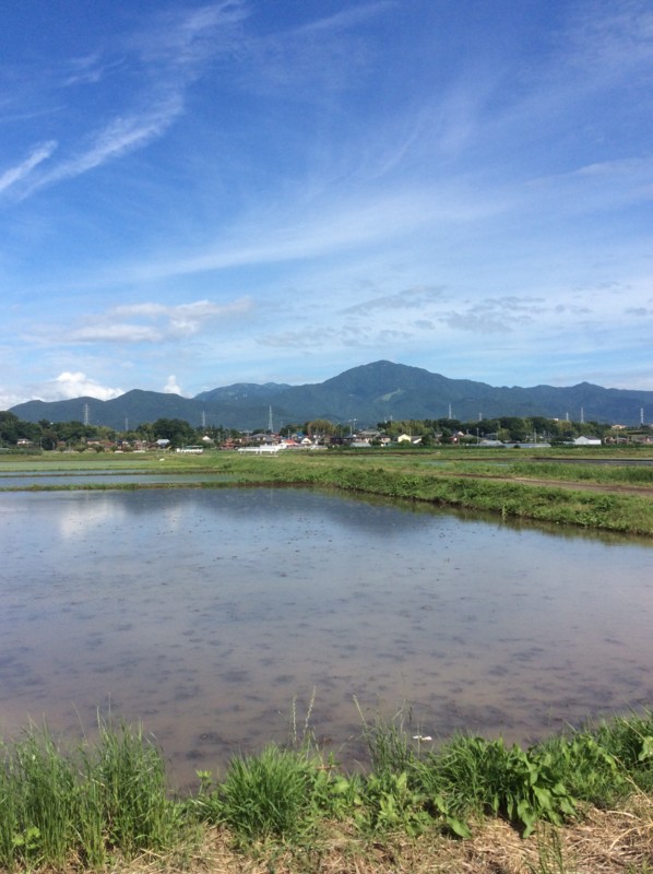 f:id:dohgen:20150610114119j:image