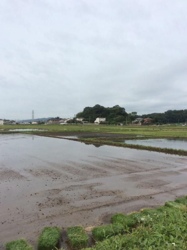 f:id:dohgen:20150610114126j:image