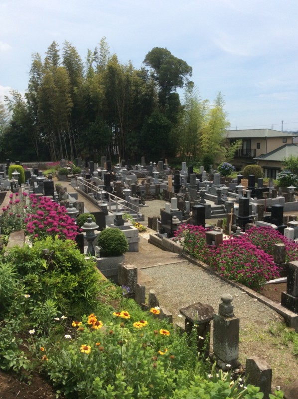 f:id:dohgen:20150610114813j:image