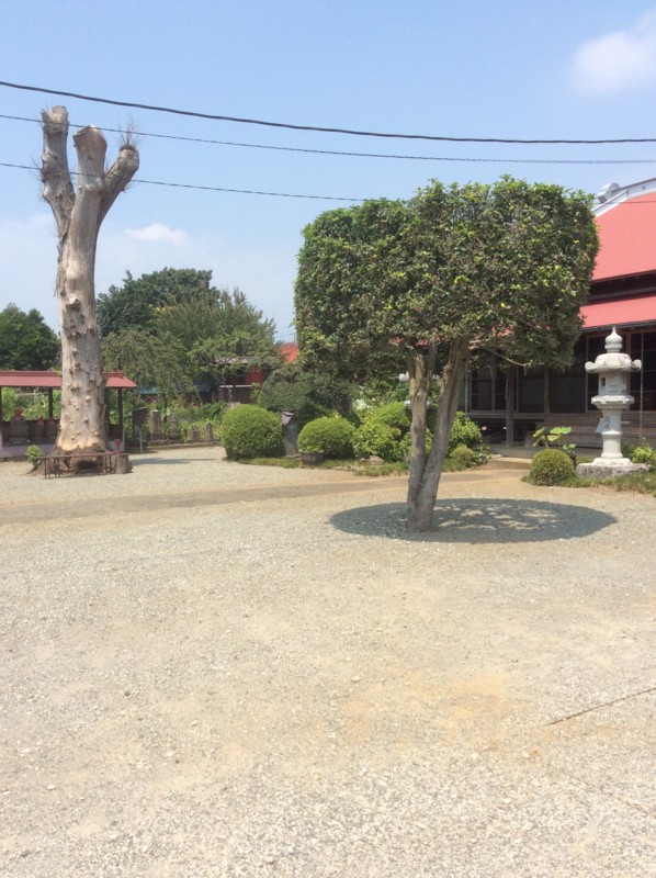 f:id:dohgen:20150803200834j:image