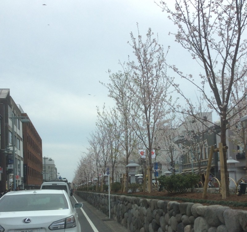 f:id:dohgen:20160330132011j:image