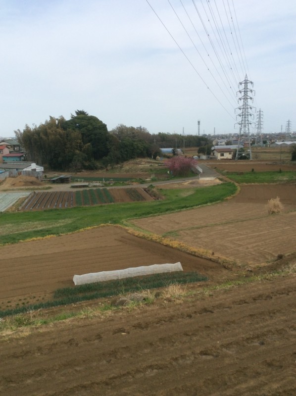 f:id:dohgen:20160331151618j:image f:id:dohgen:20160331151618j:image