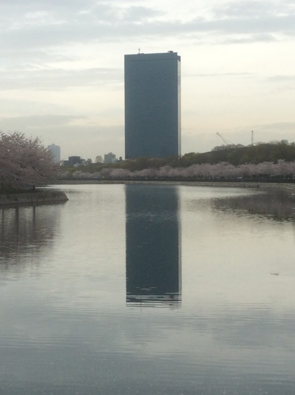 f:id:dohgen:20160404112639j:image