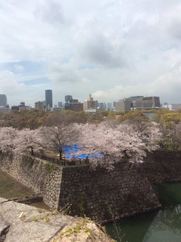 f:id:dohgen:20160404124047j:image