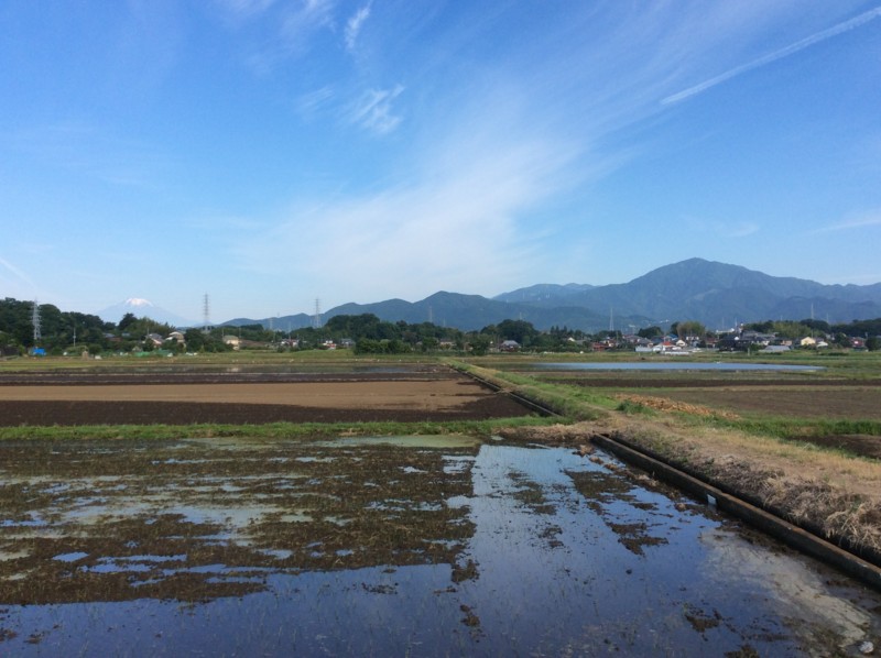 f:id:dohgen:20160604070954j:image