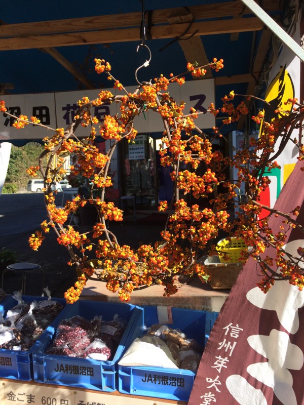 f:id:dohgen:20161026132849j:image f:id:dohgen:20161026132849j:image