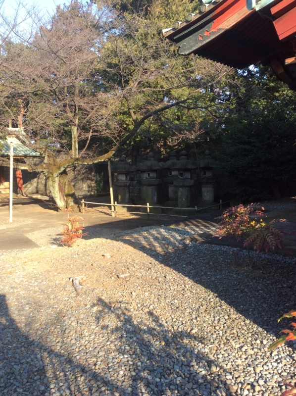 f:id:dohgen:20170216154215j:image
