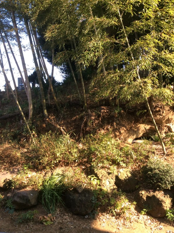 f:id:dohgen:20170316082933j:image