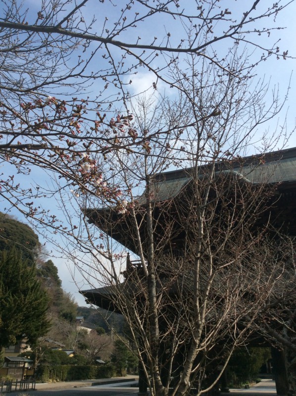 f:id:dohgen:20170329085520j:image