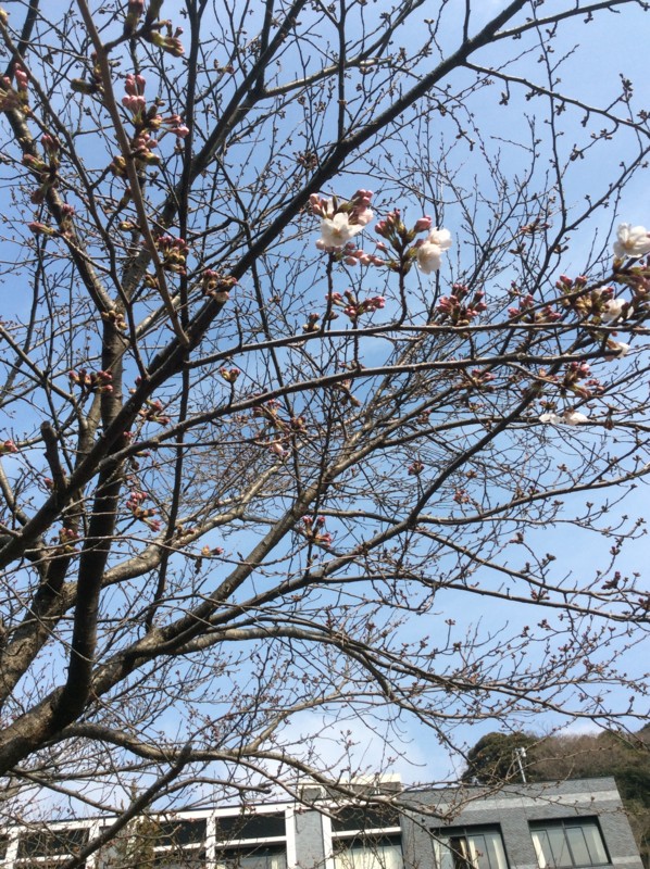 f:id:dohgen:20170329085525j:image