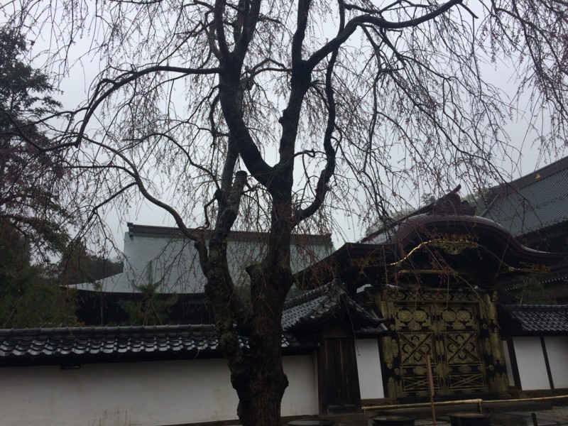 f:id:dohgen:20170408091925j:image f:id:dohgen:20170408091925j:image
