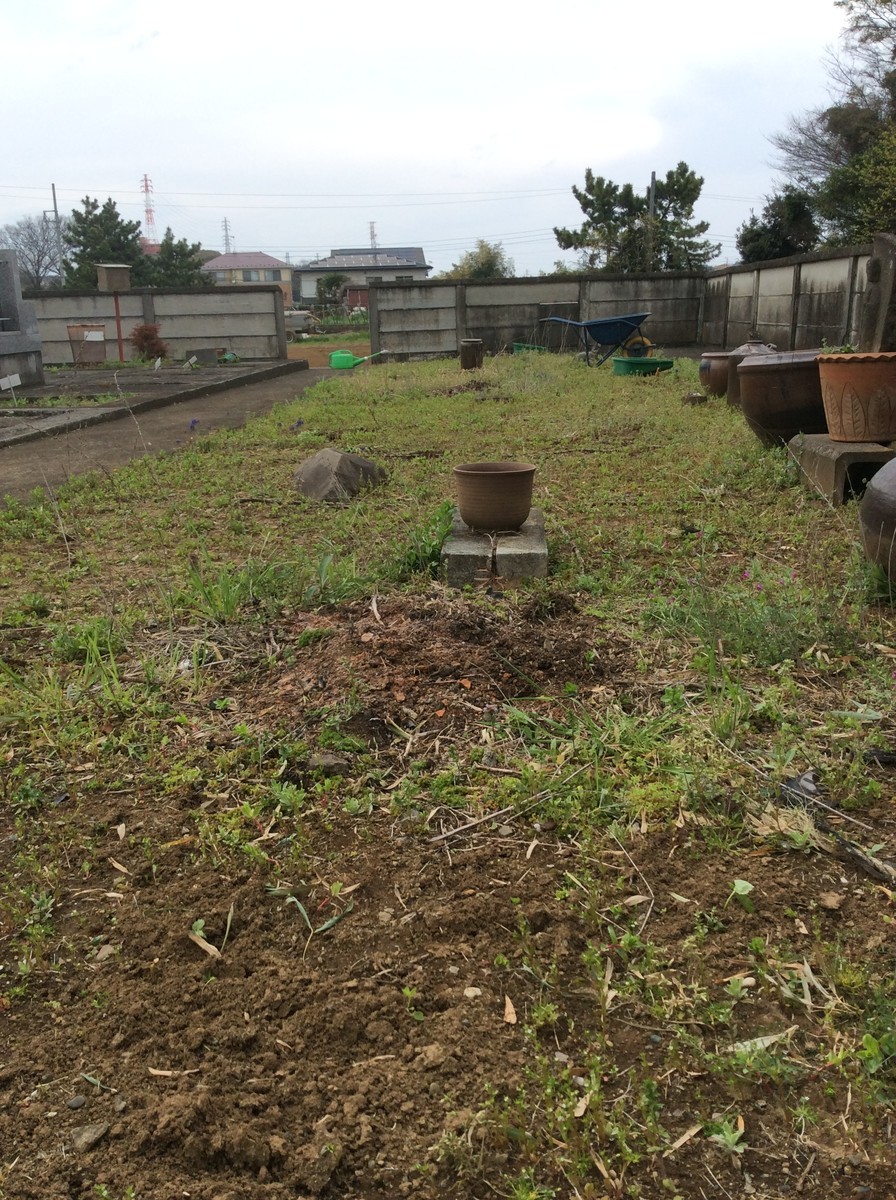 f:id:dohgen:20170415143843j:plain