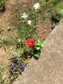 20170529084435
