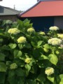 20170529084457