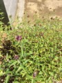 20170529084528