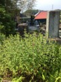 20170529084535