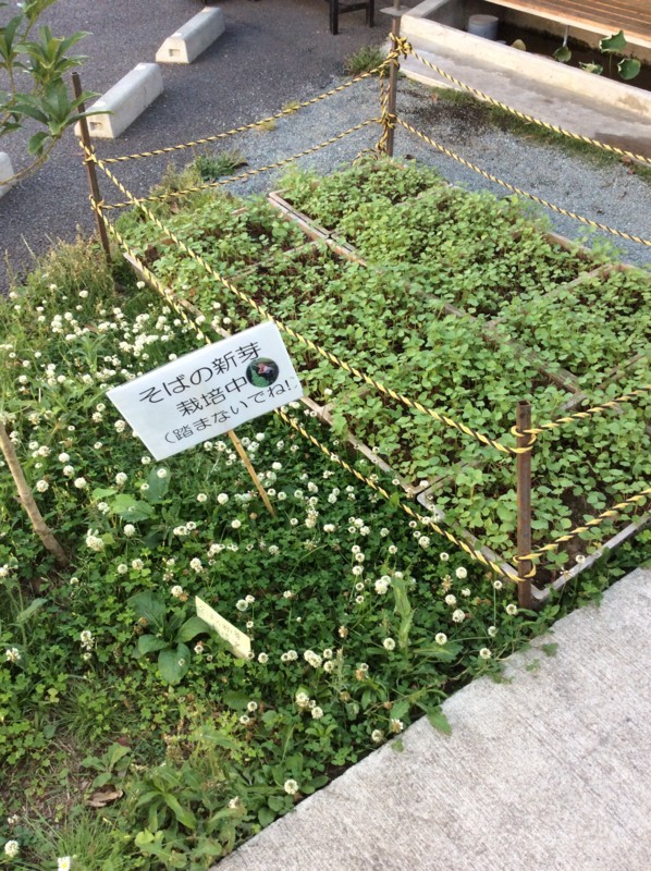 f:id:dohgen:20170602171344j:image f:id:dohgen:20170602171344j:image