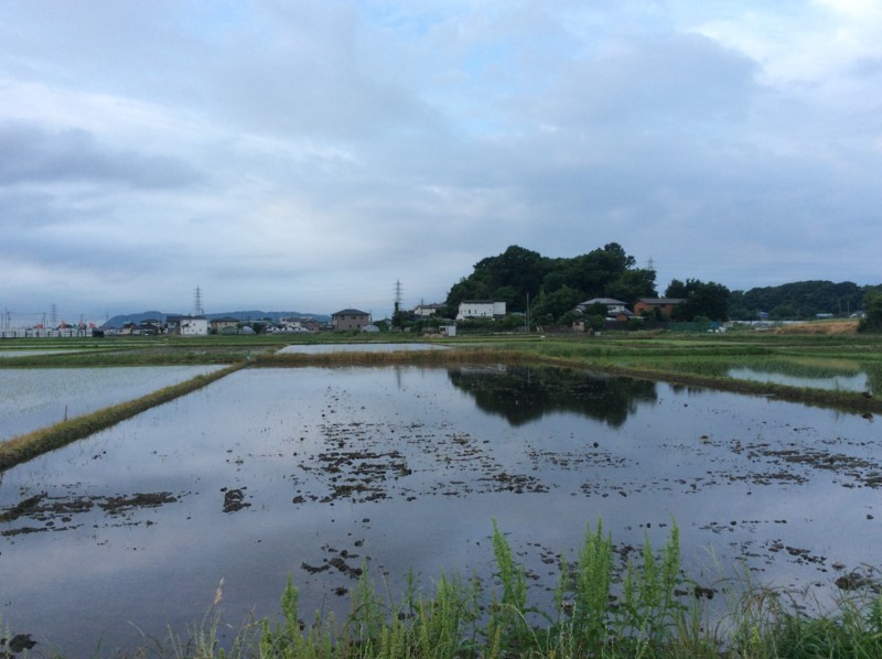 f:id:dohgen:20170609052150j:image f:id:dohgen:20170609052150j:image