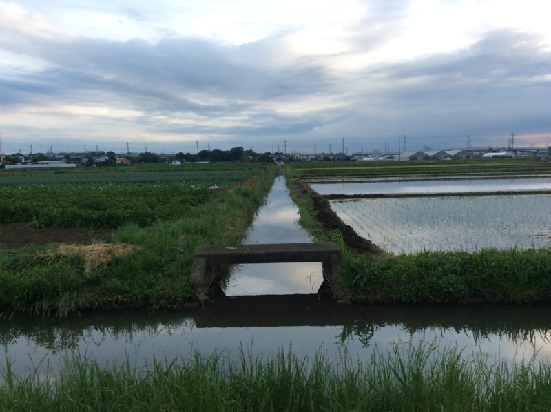 f:id:dohgen:20170609052220j:image f:id:dohgen:20170609052220j:image