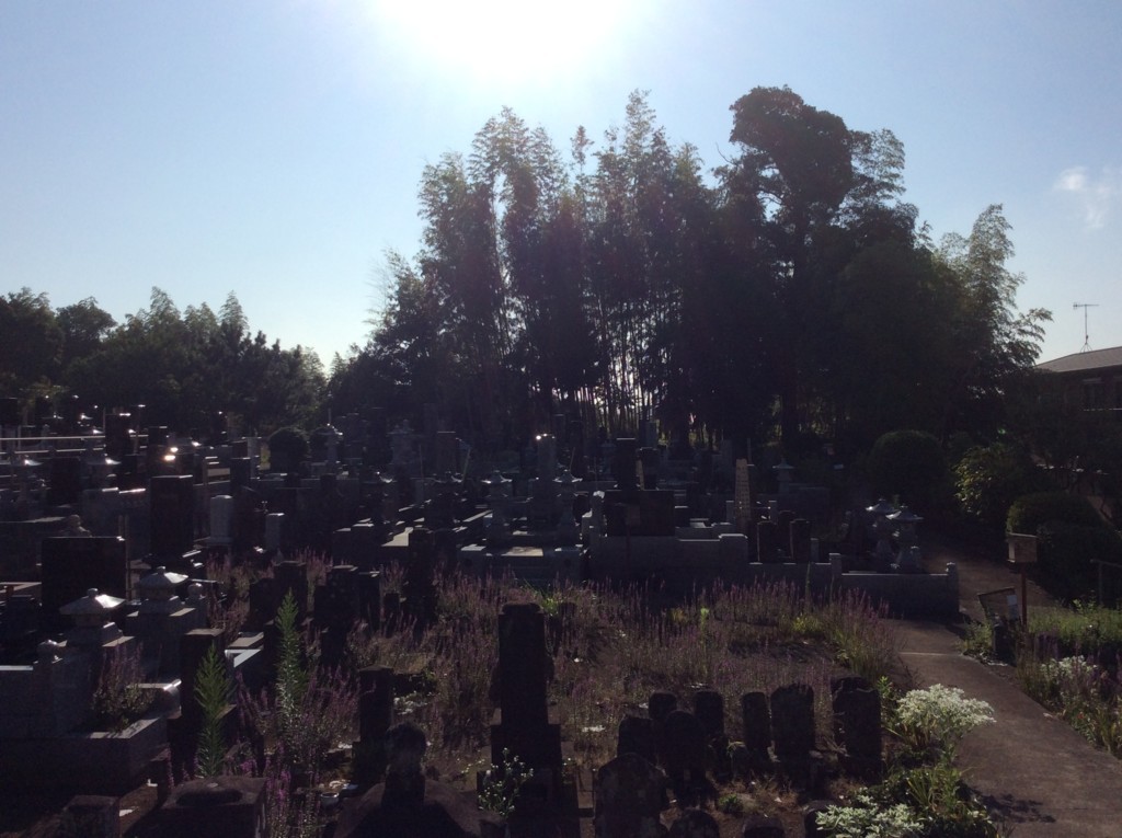 f:id:dohgen:20170807072333j:plain