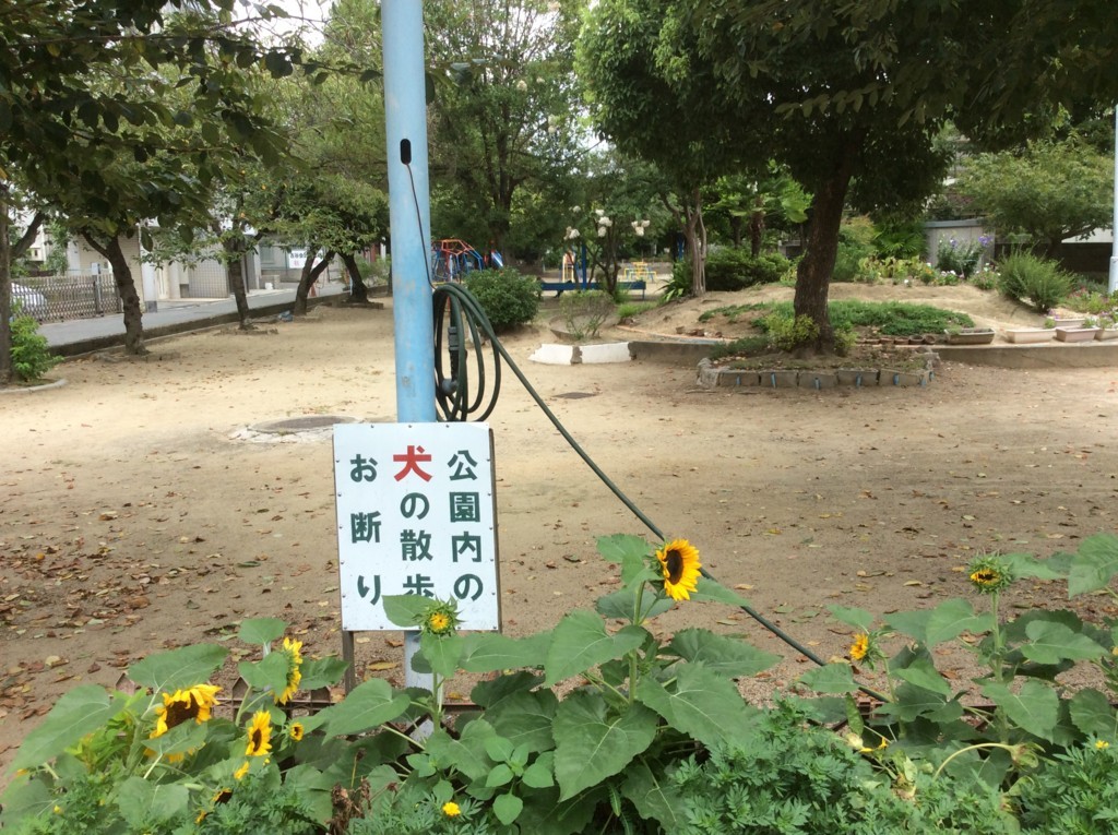 f:id:dohgen:20170817105647j:plain f:id:dohgen:20170817105647j:plain