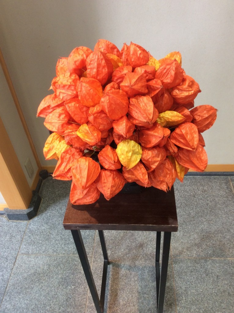 f:id:dohgen:20170817125123j:plain f:id:dohgen:20170817125123j:plain