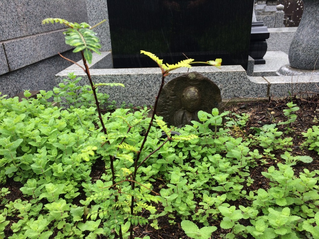 f:id:dohgen:20171017092116j:plain