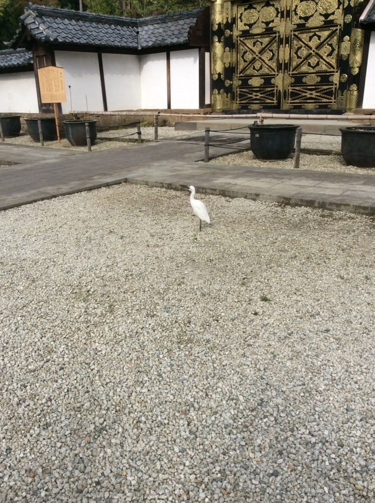 f:id:dohgen:20171113123406j:plain