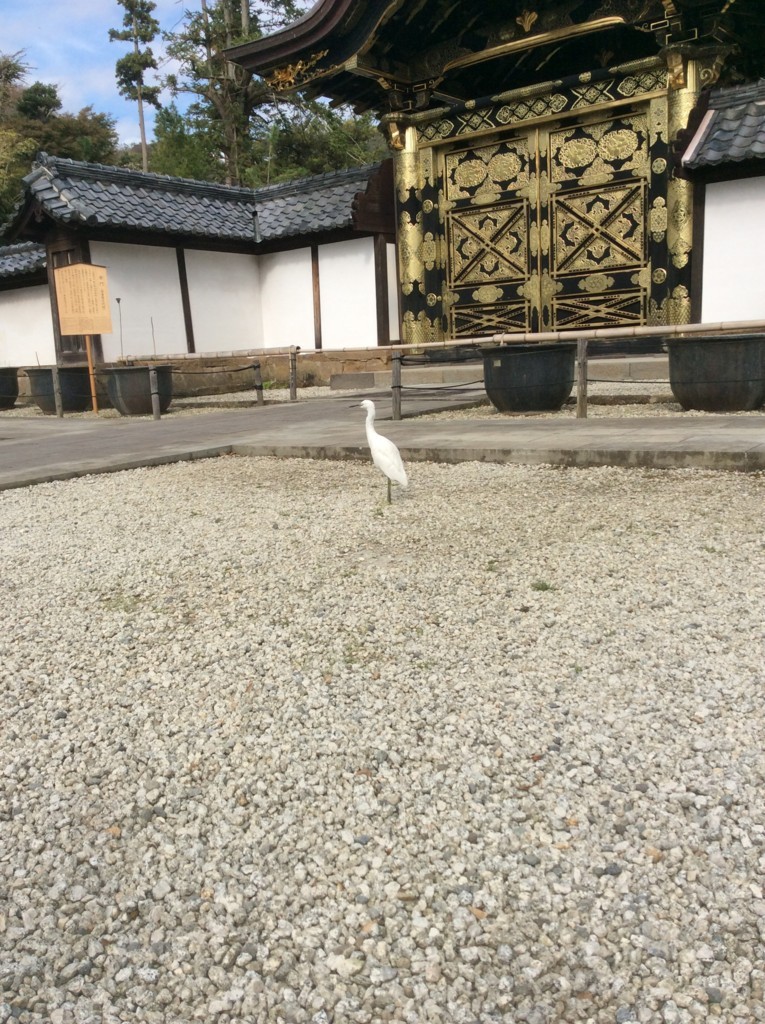 f:id:dohgen:20171113123411j:plain