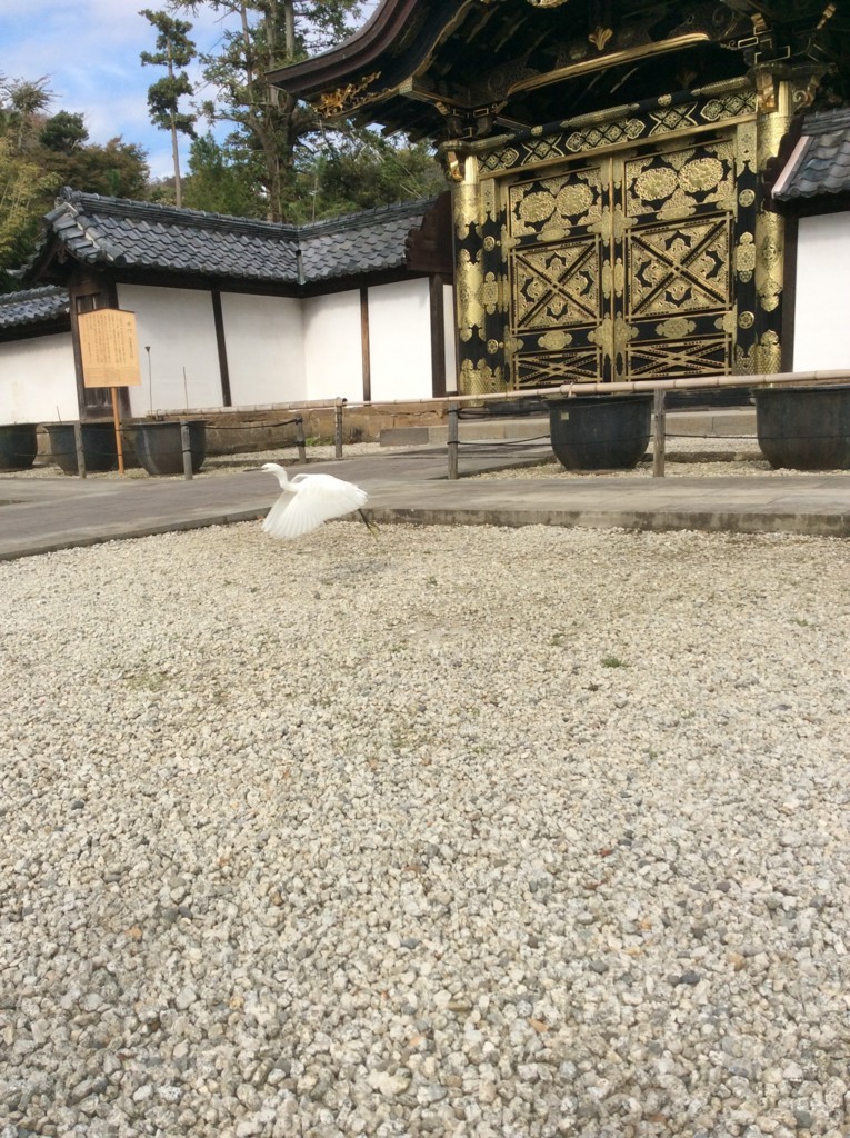 f:id:dohgen:20171113123414j:plain