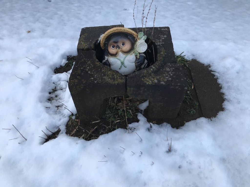 f:id:dohgen:20180123081150j:plain