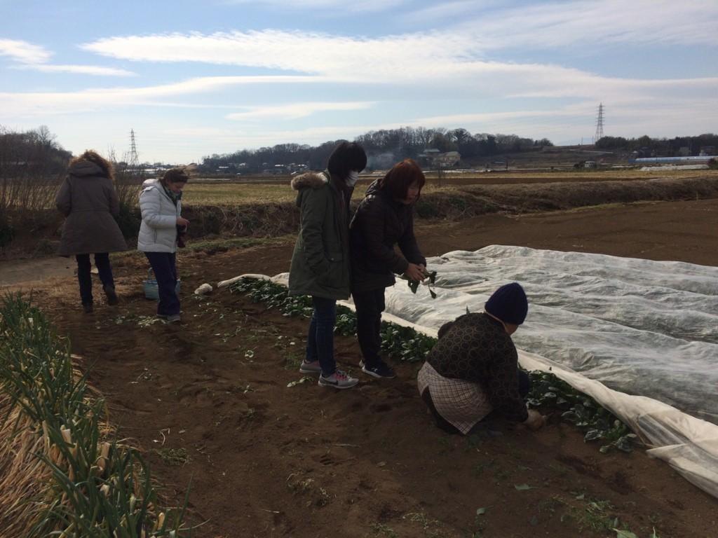 f:id:dohgen:20180210130735j:plain f:id:dohgen:20180210130735j:plain