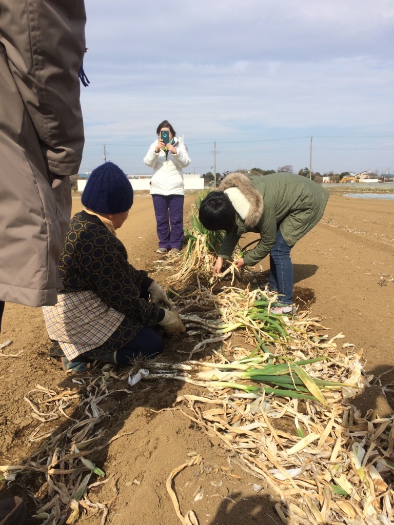 f:id:dohgen:20180210131339j:plain f:id:dohgen:20180210131339j:plain
